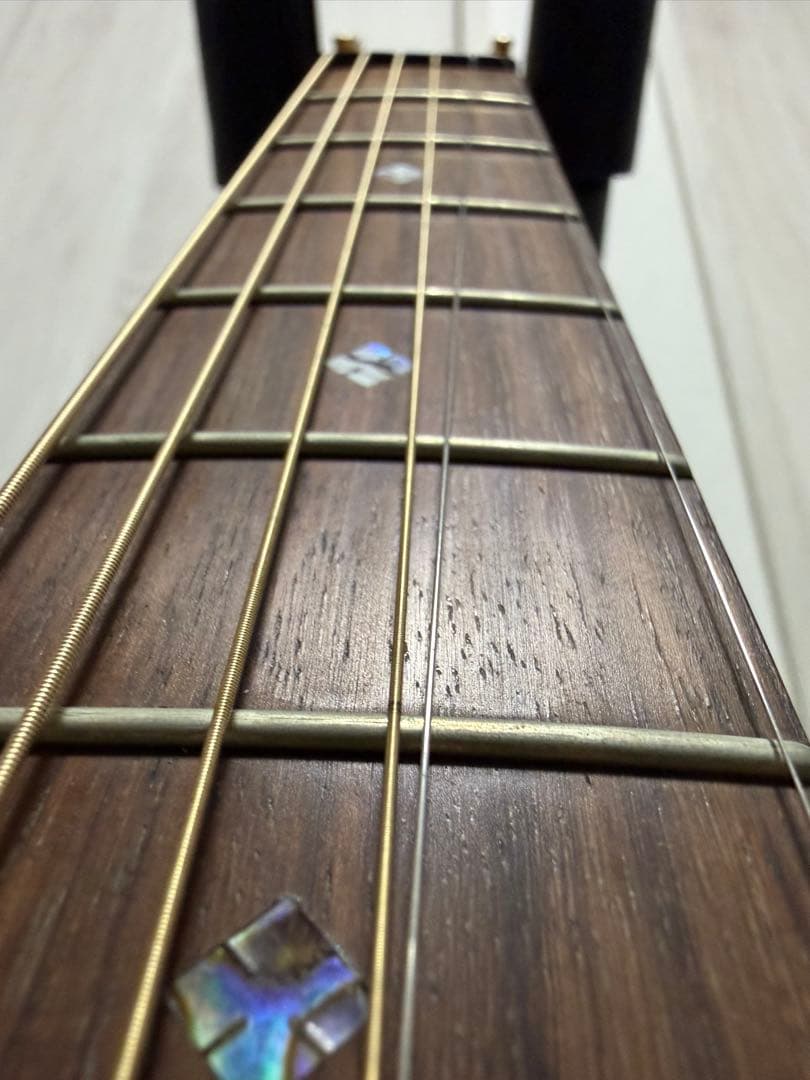 ギター UIUI ColeClark FL2EC RDBW FatLady2