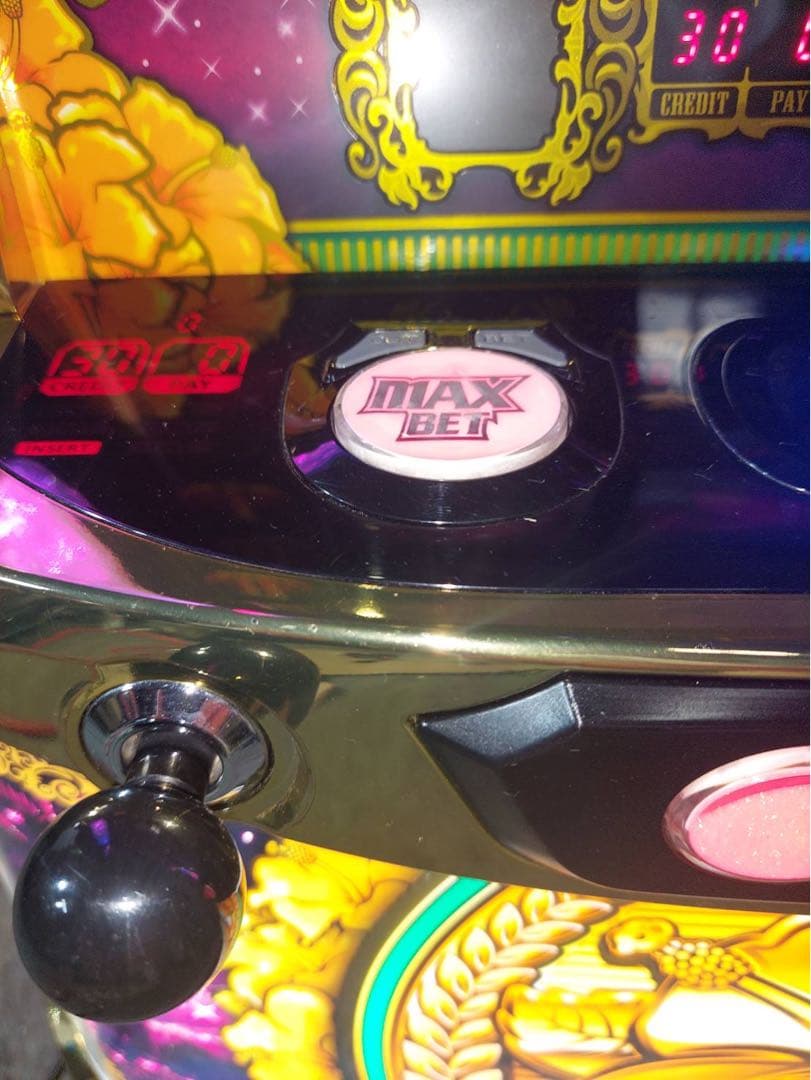 S/沖ドキ!GOLD/LS 不要機付き