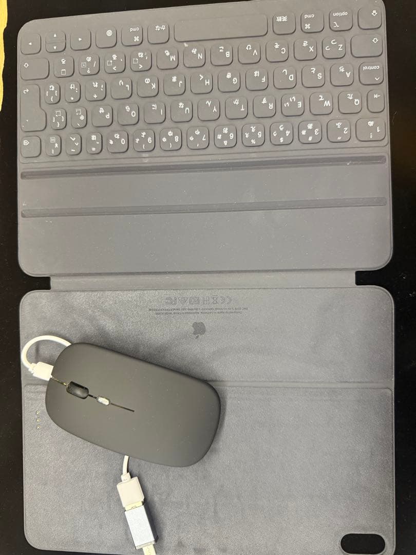 Apple iPad Pro 11インチ 256GB Wifi+Cellular