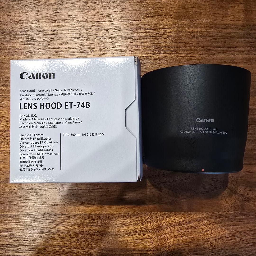 【期間限定値下げ中】Canon ミラーレス一眼 カメラ レンズ まとめ売り