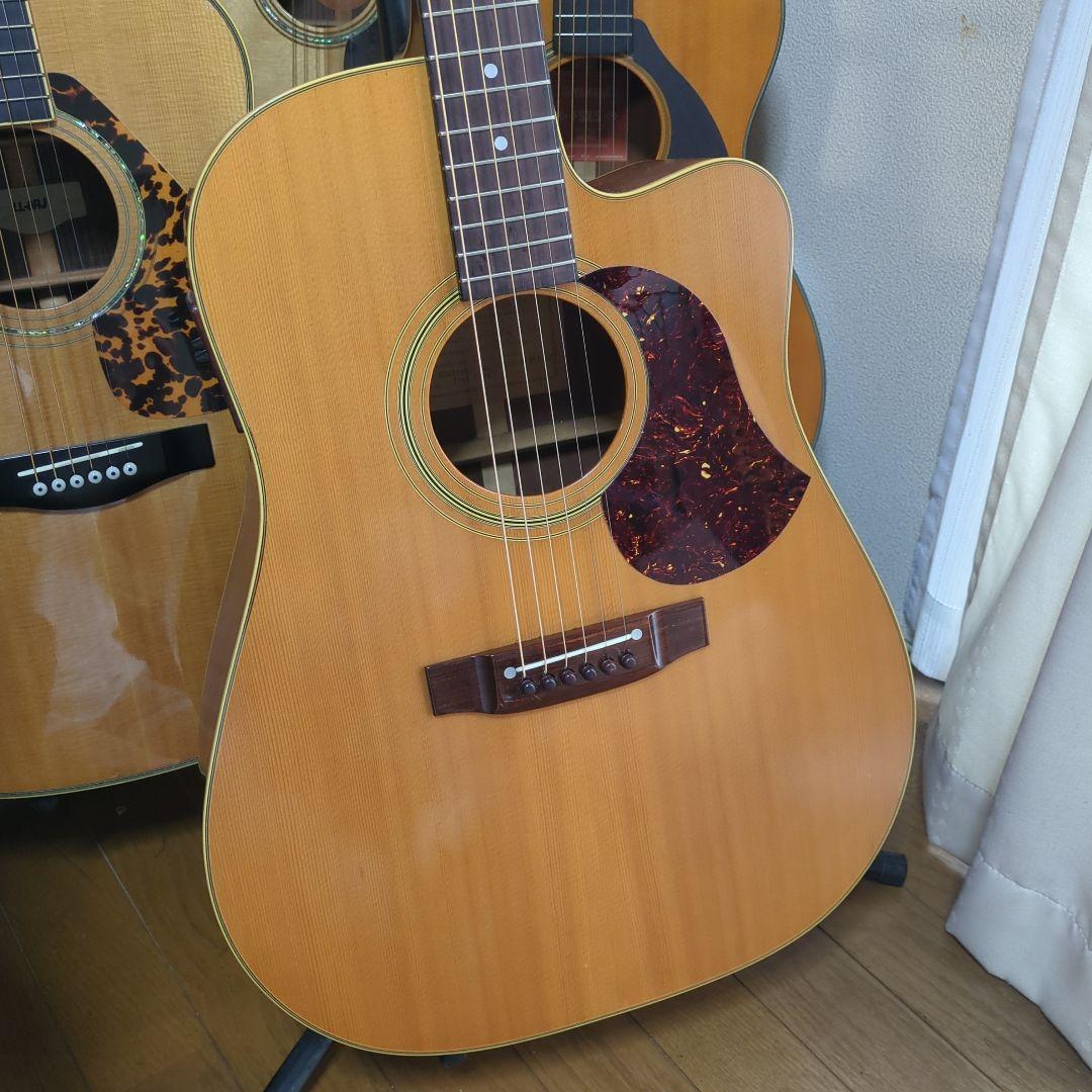 Maton エレアコ. 希少ビンテージ、トレッドノート