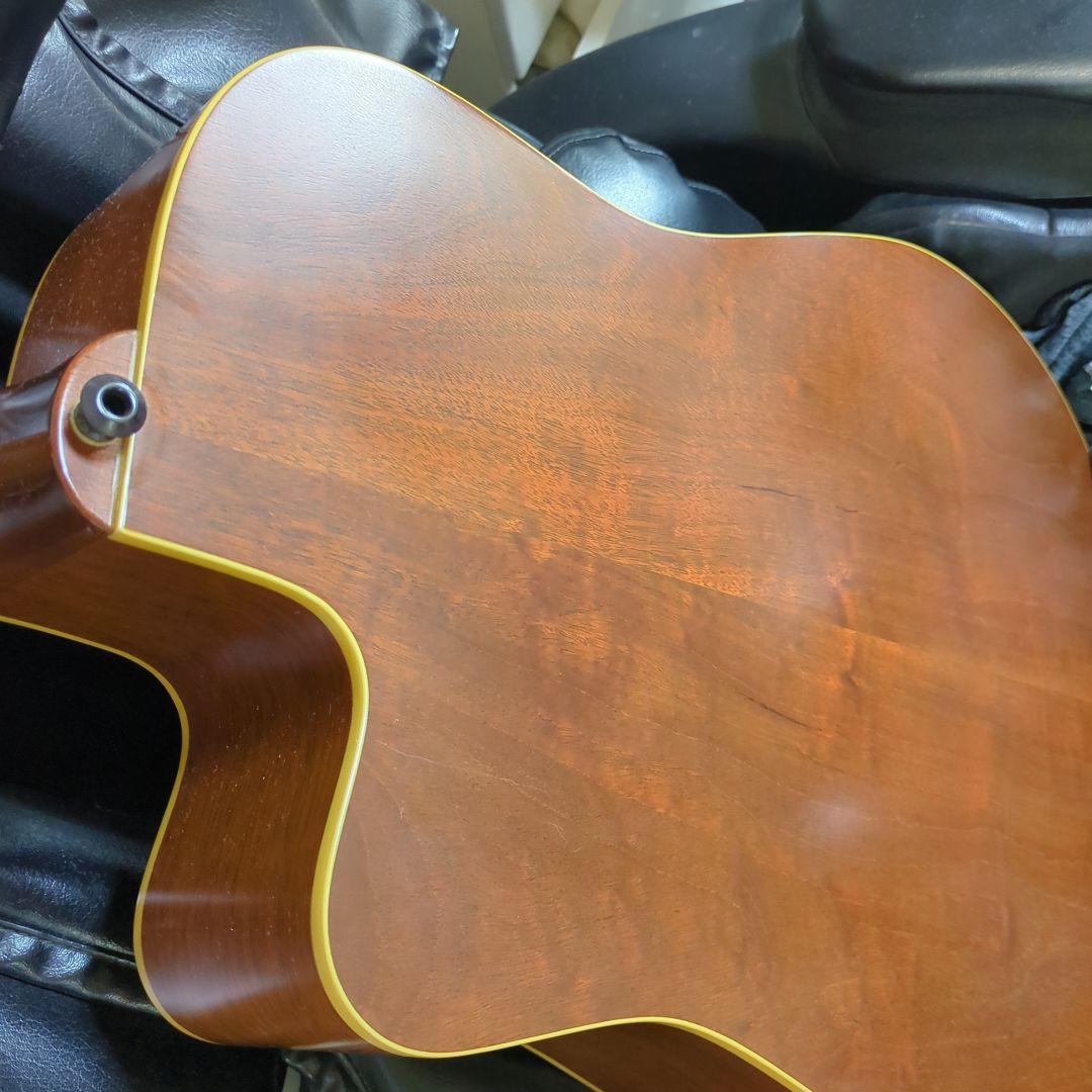 Maton エレアコ. 希少ビンテージ、トレッドノート