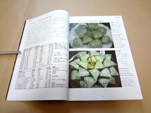 ★ ハオルシア品種名総覧 日本ハオルシア協会 ★