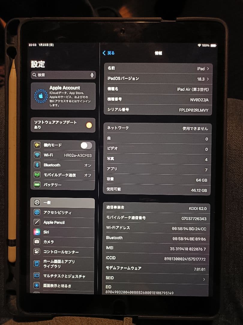 iPad本体 iPad Air + Apple Pencil