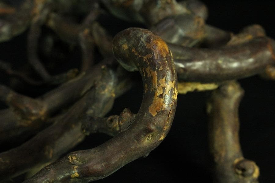 奇木 時代 根木 飾り台 自然木 55cmx30cm(K-RC951)