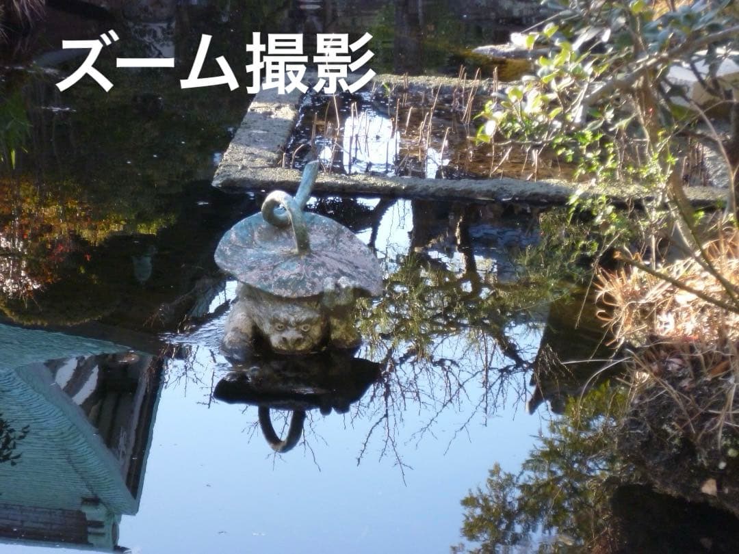 実写良⭕️美品【動作確認済】LUMIX DMC-FH1