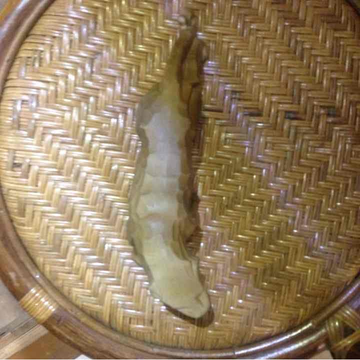 石焼 ヒョウ