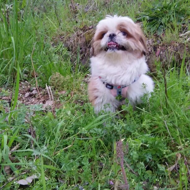 kei shop  様     確認用