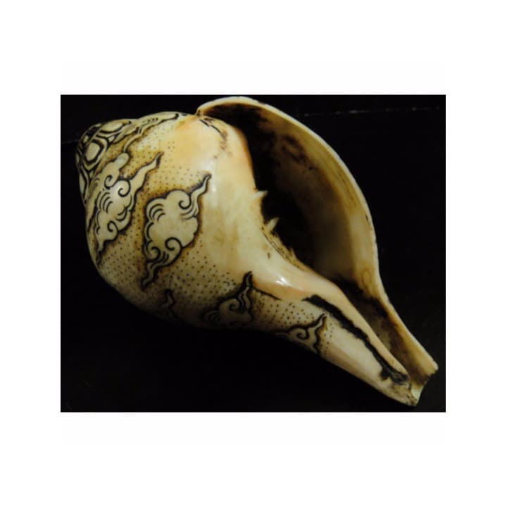 チベット密教法具　法螺貝（シャンカ）サマンタバトラ（ヤブ-ユム（父母尊）